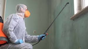 Biohazard Mold Removal in Easley, SC